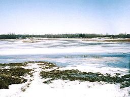 Poplar River (Manitoba) httpsuploadwikimediaorgwikipediacommonsthu