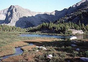 Popo Agie Wilderness httpsuploadwikimediaorgwikipediacommonsthu
