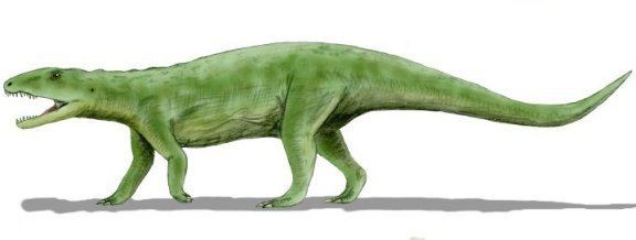 Poposaurus gracilis Prehistoric Animals
