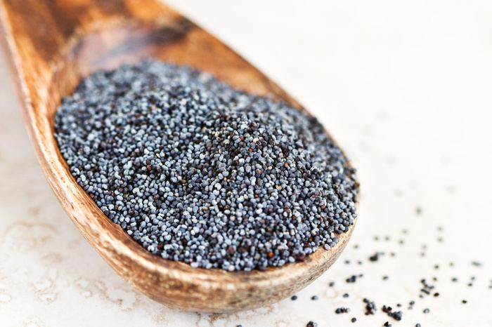 Poppy seed 9 Health Benefits of Poppy Seeds The Luxury SpotThe Luxury Spot