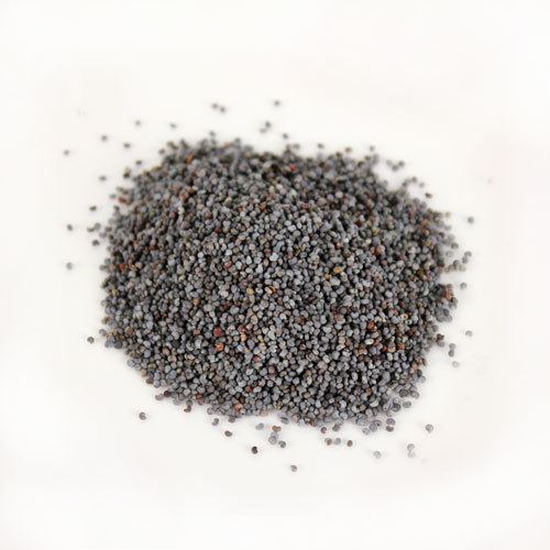 Poppy seed Poppy Seeds