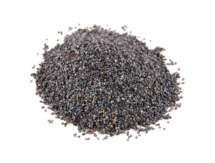 Poppy seed Poppy Seeds Blue Poppy Seeds Savory Spice