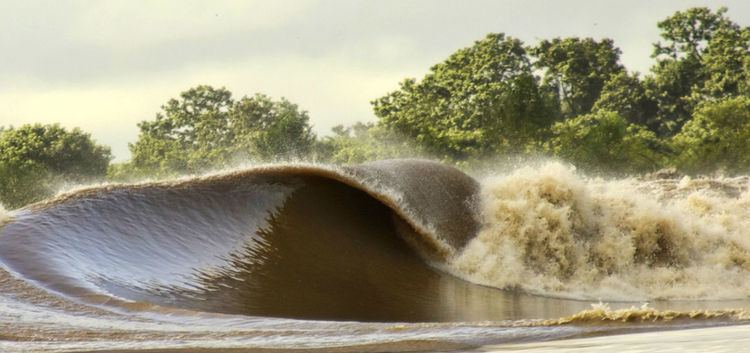 Pororoca Pororoca Phenomenon Amazon tidal bore Brazil Trip Specialist