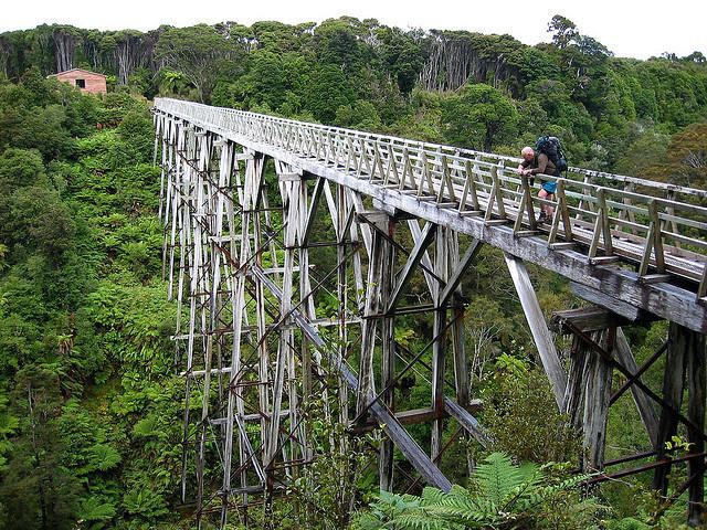 Port Craig, New Zealand Walking the Waitutu Track Hike SouthHike South