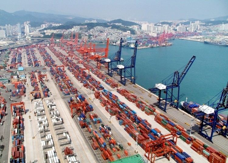 Ningbo Zhoushan Port becomes first port with annual cargo