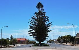 Port Victoria, South Australia httpsuploadwikimediaorgwikipediacommonsthu