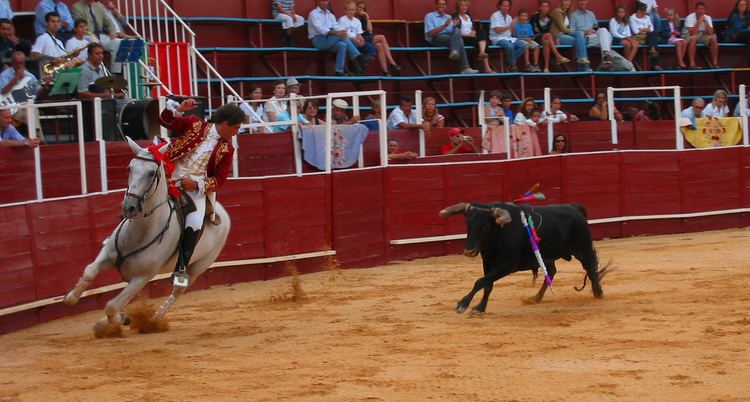 Portuguese-style bullfighting
