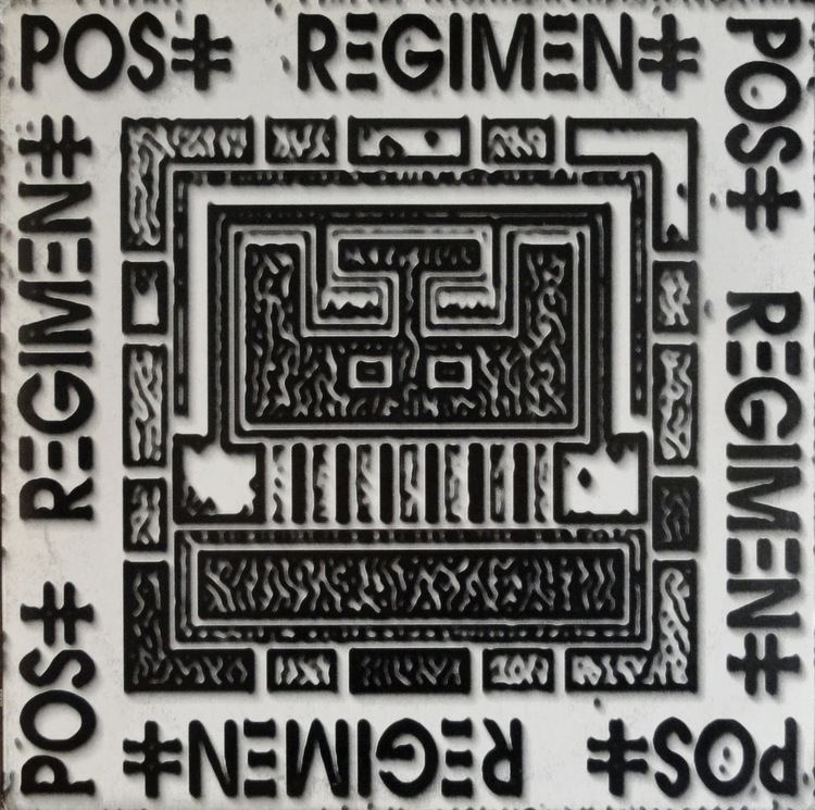 Post Regiment MUSIC NOT NOIZE POST REGIMENT ST LP