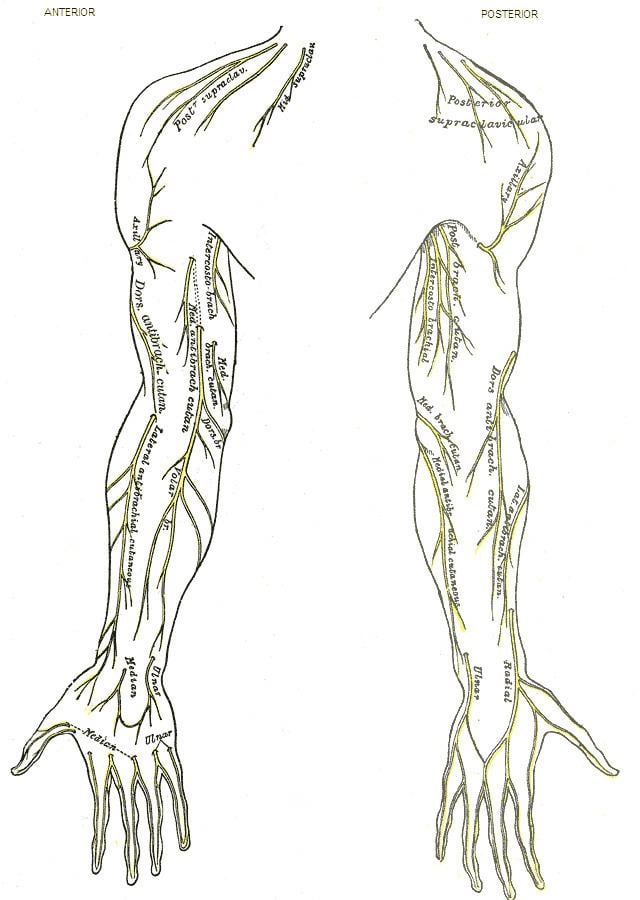 posterior cutaneous nerve of arm entrapment