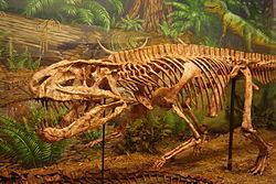 Postosuchus httpsuploadwikimediaorgwikipediacommonsthu