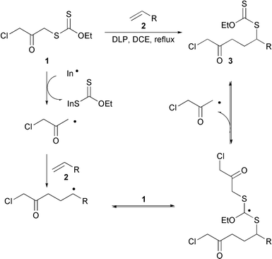 Potassium ethyl xanthate S 3Chloro2oxopropyl O ethyl xanthate a linchpin radical
