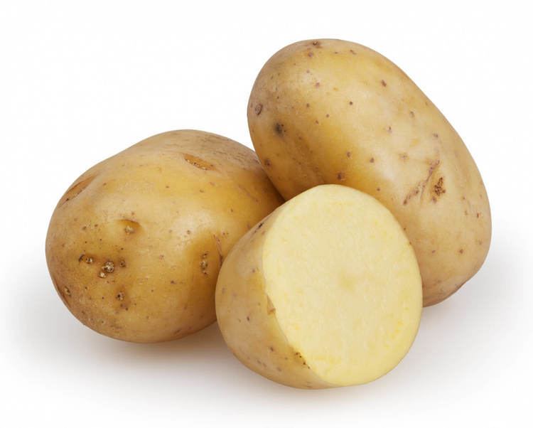 Potato wwwpatrongroupscomRussetPotatoescutjpg