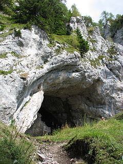 Potok Cave httpsuploadwikimediaorgwikipediacommonsthu