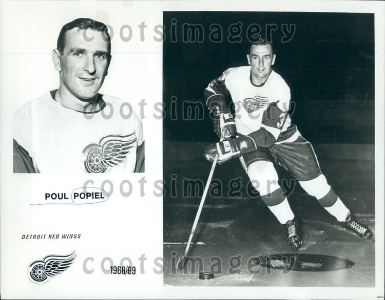 Poul Popiel 1969 Detroit Red Wings Hockey Player Poul Popiel Press Photo eBay
