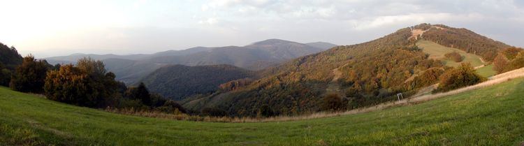 Považský Inovec FileBezovec Povazsky Inovec Hradocka dolinajpg Wikimedia Commons