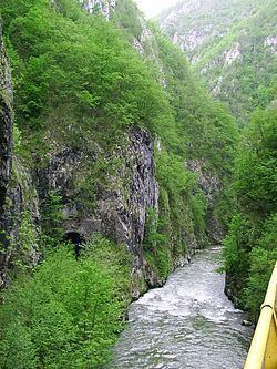 Prača (river) httpsuploadwikimediaorgwikipediacommonsthu