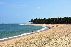 Praia do Gunga httpsuploadwikimediaorgwikipediacommonsthu
