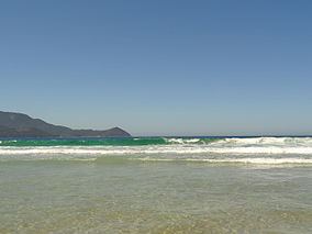 Praia do Sul Biological Reserve httpsuploadwikimediaorgwikipediacommonsthu