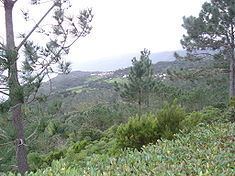 Prainha (São Roque do Pico) httpsuploadwikimediaorgwikipediacommonsthu