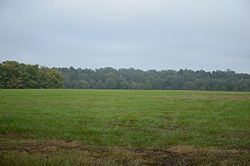 Prairie D'Ane Battlefield httpsuploadwikimediaorgwikipediacommonsthu