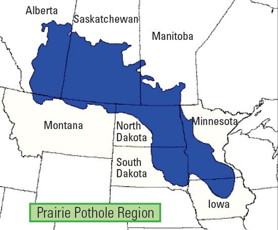 Prairie Pothole Region Prairies Conservation Campaign