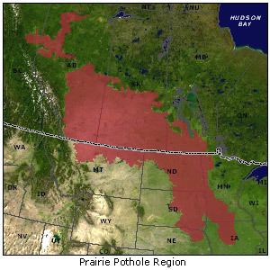 Prairie Pothole Region wwwducksorgmediaConservationPrairie20Pothole