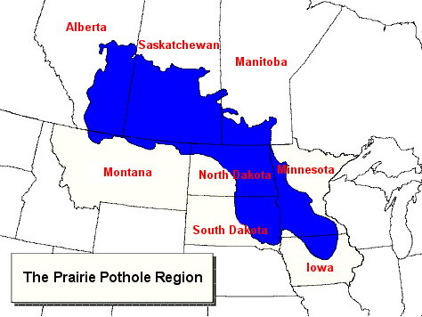 Prairie Pothole Region Prairie Pothole Region Protection Plan Questioned Radio 570 WNAX
