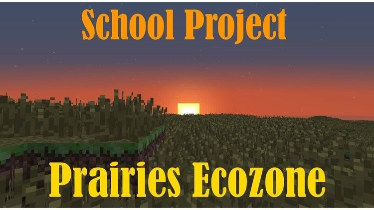 Prairies Ecozone School Project Geography The Prairies Ecozone YouTube