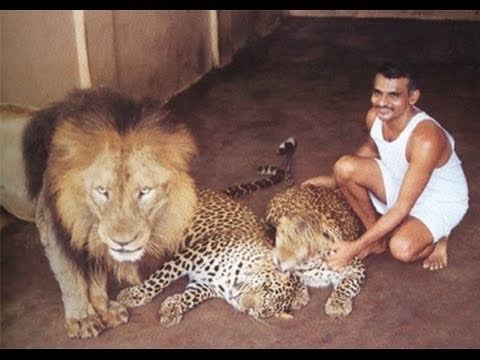 Prakash Amte A Great Salute To Dr Prakash Amte Playing With Lion Leopard YouTube