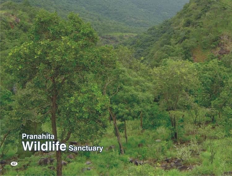 Pranahita Wildlife Sanctuary foreststelanganagovinImgWildLifePNWSPage1jpg