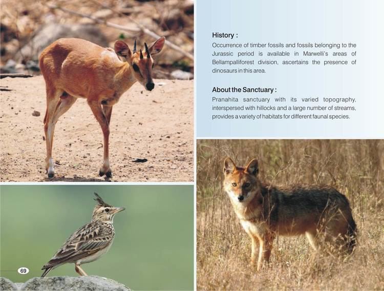 Pranahita Wildlife Sanctuary Page3jpg