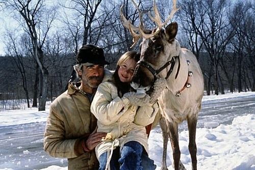 Prancer (film) See The Cast of Prancer Then And Now