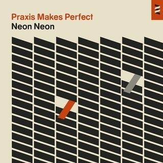 Praxis Makes Perfect cdn2pitchforkcomalbums19127homepagelargee44