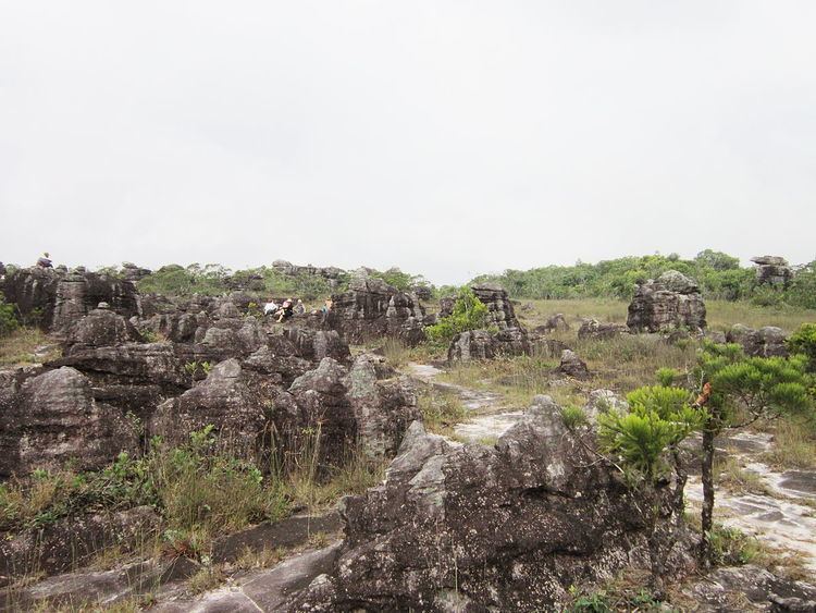 Preah Monivong National Park