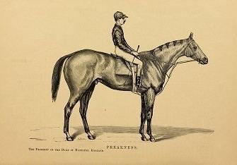 Preakness (horse)