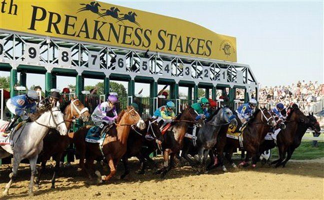 Preakness Stakes httpswwwladyandthetrackcomassetsimages2013