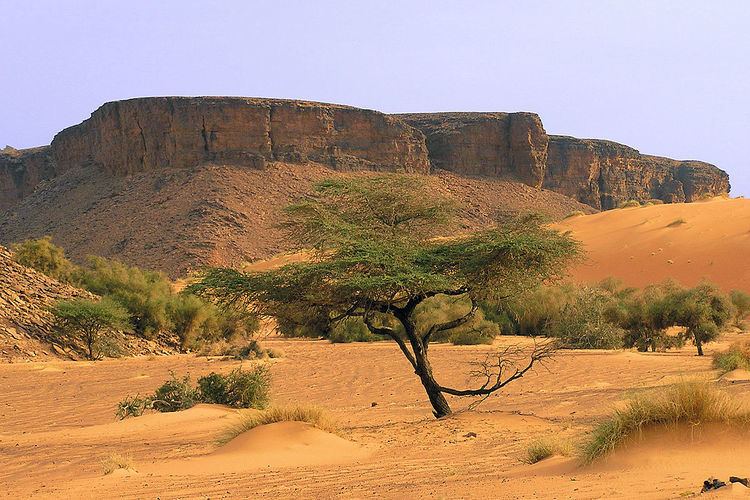 Precolonial Mauritania