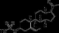 Pregnenolone sulfate httpsuploadwikimediaorgwikipediacommonsthu