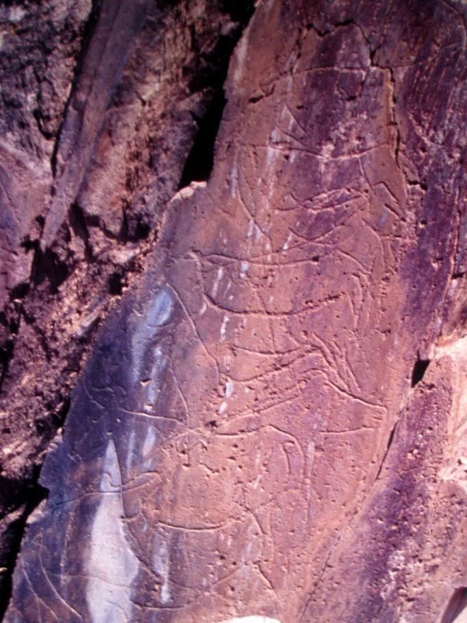 Prehistoric Rock-Art Site of the Côa Valley