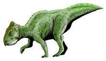 Prenoceratops httpsuploadwikimediaorgwikipediacommonsthu