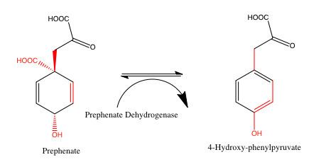 Prephenic acid httpsuploadwikimediaorgwikipediaen330Pre