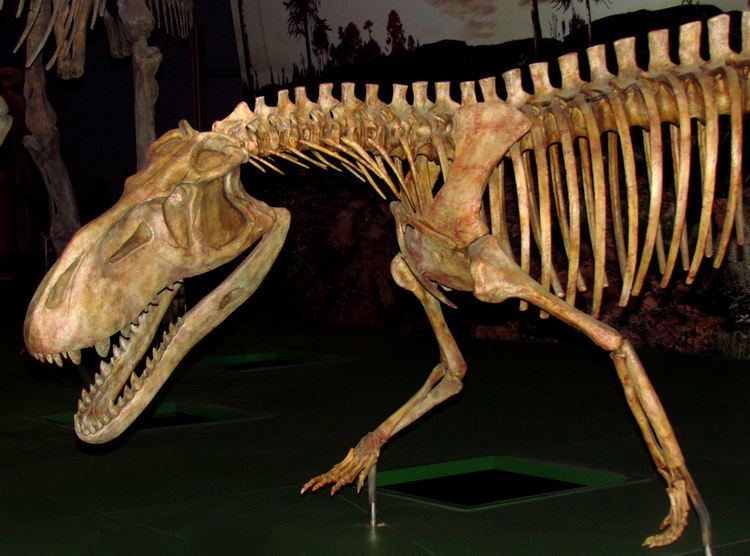 Prestosuchus FilePrestosuchus chiniquensis ROMjpg Wikimedia Commons