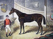 Pretender (horse) httpsuploadwikimediaorgwikipediacommonsthu