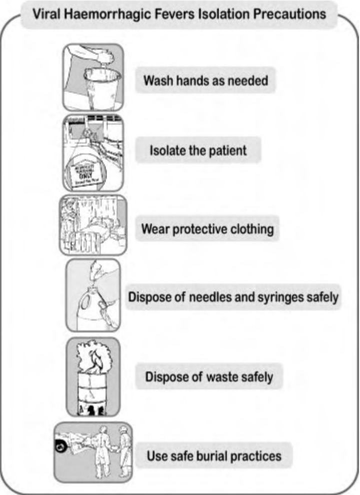 Prevention of viral hemorrhagic fever