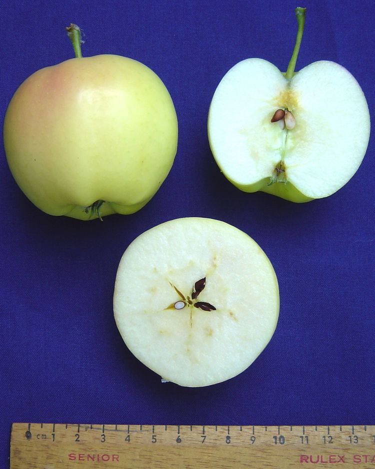 PRI disease resistant apple breeding program