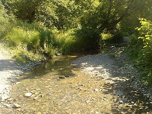 Pria River (Crasna) httpsuploadwikimediaorgwikipediacommonsthu