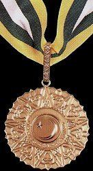 Pride of Performance ODM of Pakistan President39s Award for Pride of Performance