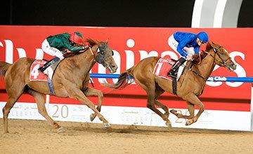 Prince Bishop (horse) Godolphin African Story amp Prince Bishop Drawn Low In Dubai World Cup