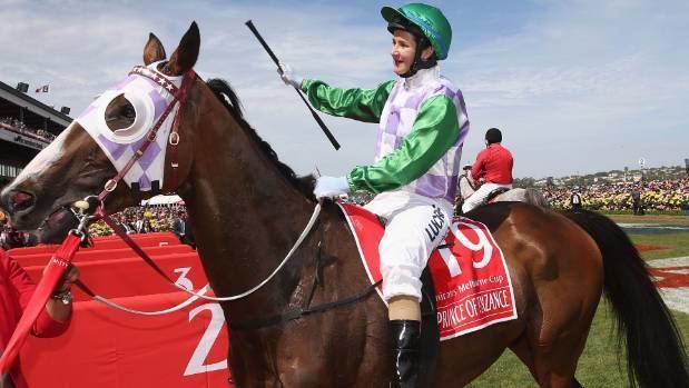 Prince of Penzance Kiwibred Prince of Penzance wins Melbourne Cup Stuffconz