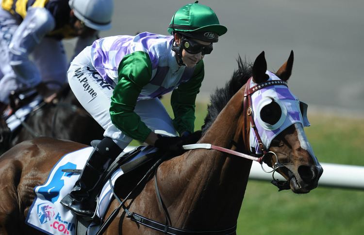 Prince of Penzance Prince of Penzance wins Melbourne Cup at 100 to 1 Echonetdaily